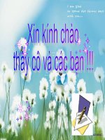 bai 24: enzim va vai tro cua enzim trong chuyen hoa vat chat