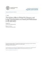 The relative effects of merit pay, bonuses, and long term incenti on future job performance 