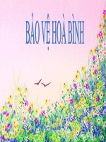 bao ve hoa binh 09