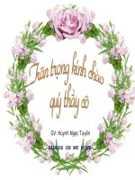 Tập đọc 5-Kì diệu rừng xanh