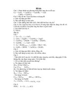 kiểm tra 1 tiết Hóa 9