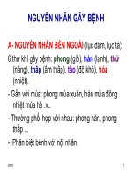 Nguyen nhan gay benh 
