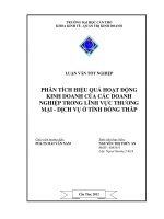 Phân tích hiệu quả hoạt động kinh doanh của các doanh nghiệp trong lĩnh vực thương mại dịch vụ ở tỉnh Đồng Tháp