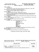 De va dap an thi HSG mon TV Lop 5