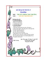 Nội dung sổ tổng phụ trách Đội