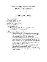 kế hoạch cá nhân 2010-2011