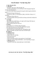 Tuần 3 (từ 21/9-25/9/2010)