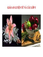 Noi cac ve cau ghep bang quan he tu.