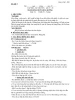 LỚP 3 TUẦN 7 CKT (ko chia cột)