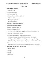 SKKN ĐỘI CHẤT LƯỢNG