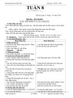 Giáo án 3 Tuần 8(2Buổi)