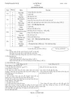 GA Lớp 3 tuần 6 theo chuẩn