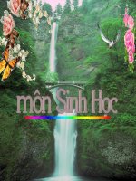 Tiết 17.Tim và mạch máu