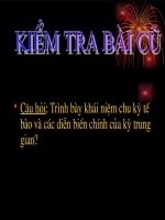 Bài 29.Nguyên phân