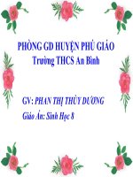 bai20: HÔ HẤP VÀ CÁC CƠ QUAN HÔ HẤP