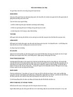 TRÒ CHƠI LỬA TRẠI