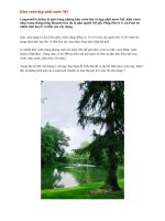 Khu vườn đẹp nhất nước Mỹ