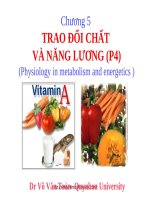 TRAO ĐỔI CHẤT VÀ NANG LUONG P4