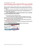 gừa Virus xâm nhập vào máy qua USB