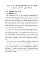 Cơ sở lý luận về hoạt động khai thác thị trường khách du lịch của một doanh nghiệp lữ hành