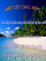 Sự thoái hóa do tự thụ phấn .....(Hội giảng tỉnh Nam Định 2008-2009