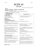 giao an tuần 15  tỏng hợp lơp 3