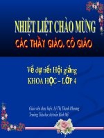 Khoa học 4 - Một số cách bảo quản thức ăn