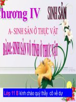 Bai 41 Sinh san vo tinh o thuc vat