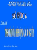 Tiết 48 Tính chất của phép cộng các số nguyên