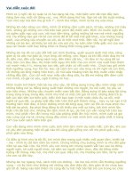 Vai diễn cuộc đời - Nguyễn Ngọc Tư