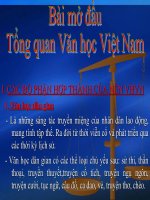 Tổng quan VHVN