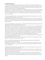 9 câu đố vui vật lý