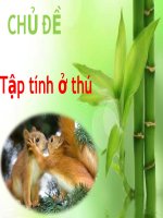 tập tính của thú