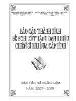 Thành tích công tác cấp tỉnh (2008-2009)