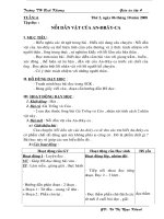 Giáo án lớp 4 - Tuần 6