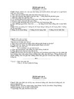 Đề thi ngữ văn 6 ( 3 đề)