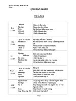 GIAO AN LOP 4- TUAN 9 CKTKN