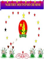 Giáo án tập Trống - Đội hình đội ngũ