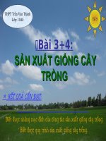 Bài 3+4: Sản xuất giống cây trồng