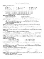 Chuyên đề Al và Fe