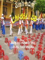 Sinh hoạt chi đội