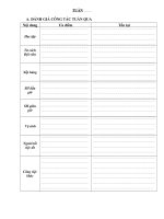 MẪU SỔ CHÀO CỜ DÀNH CHO TPT