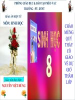 tiết 17 tim và mạch máu rất hay. 2009- 2010