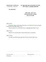 ̣đề học sinh giỏi Ngữ văn