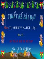 Tiet 33 Tuan 17 TNXH lop 3