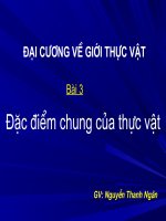 BÀI 3 - ĐĐ CHUNG CỦA THỰC VẬT