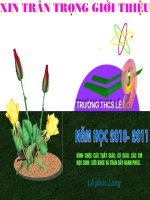 Dia 9- tuan 10- Tiet 20- Vung trung du va mien nui bac bo- T2