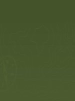 Nước ta buổi đầu độc lập