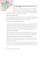 CO NEN DUNG MIENG DAN HA SOT CHO TRE