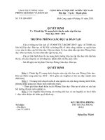 Quyết định thành lập Tổ mạng lưới chuyên môn tiểu học năm học 2010 - 2011